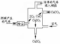 探究氣體組成的元素分析 SO?、O?與H?的可能性解析